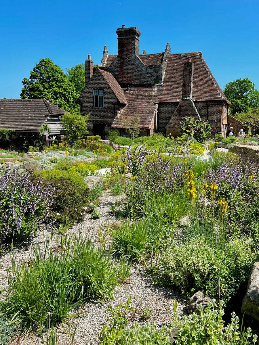 How to Create a Drought-Tolerant Garden