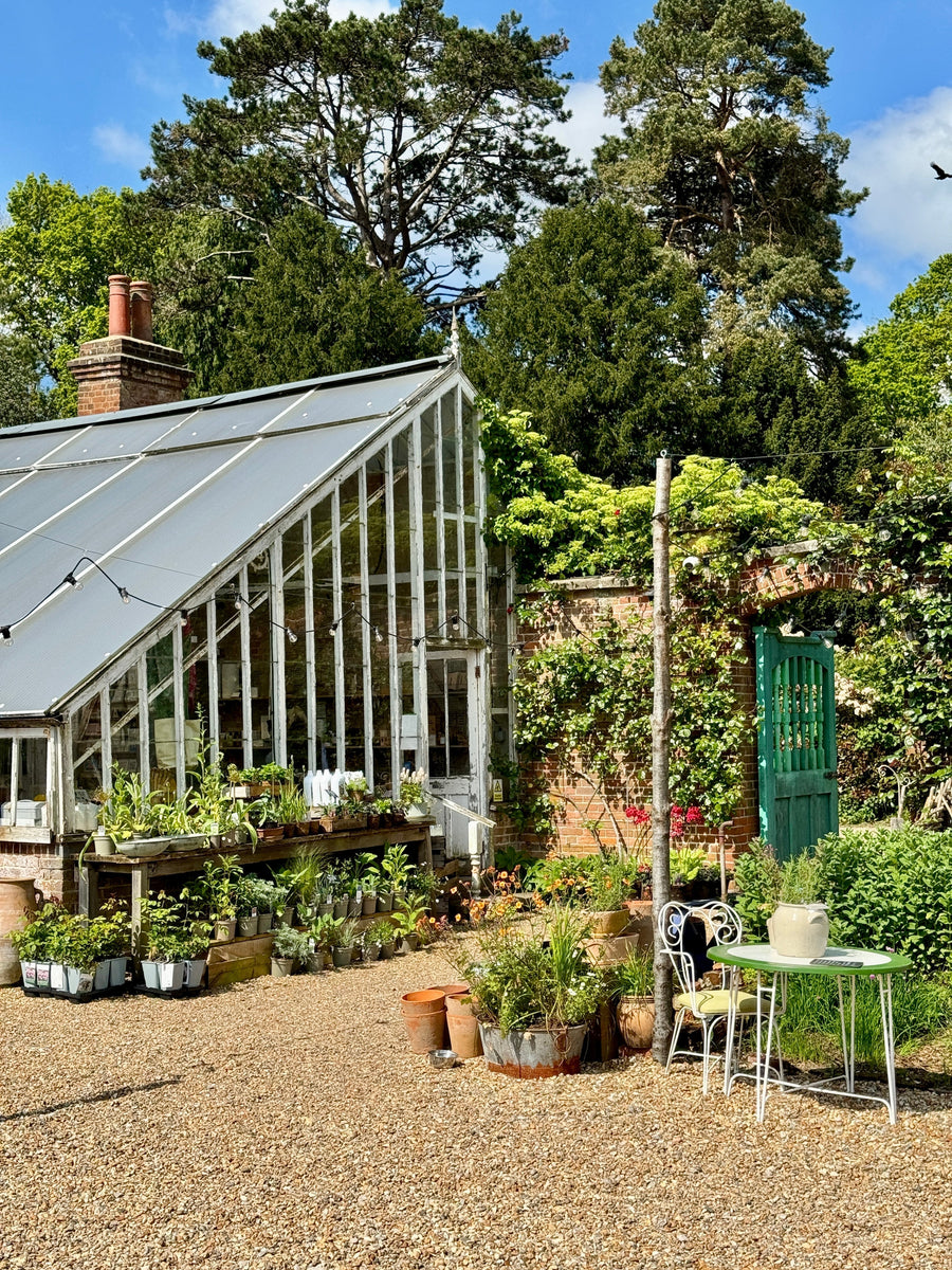 The Homegrown Market at Water Lane, Kent