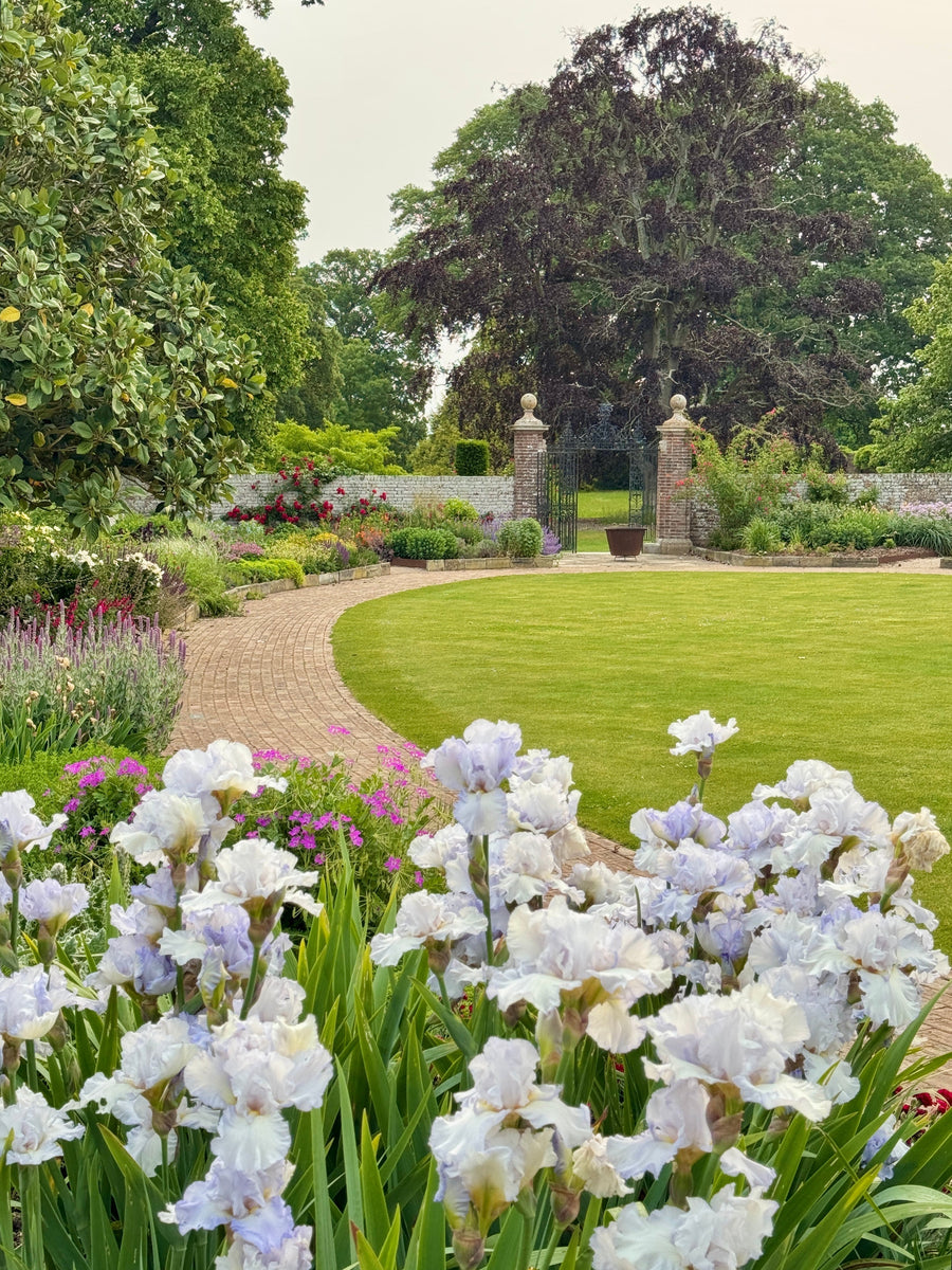 Your Garden In June