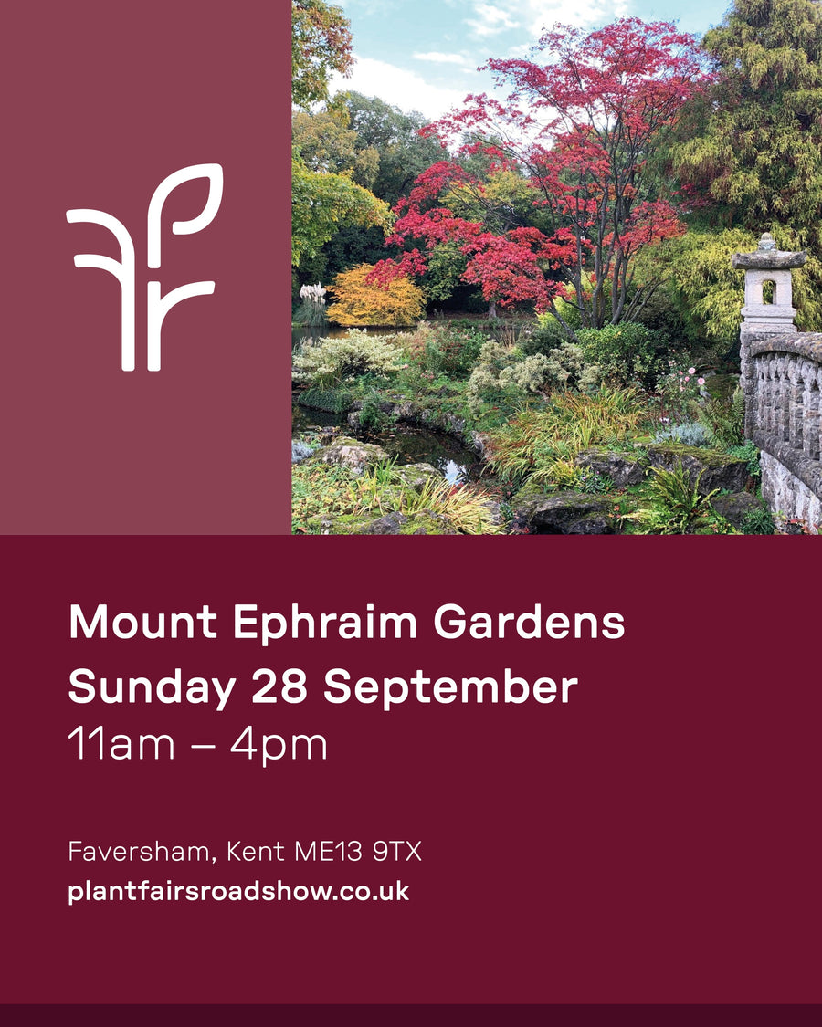 Plant Fairs Roadshow, Mount Ephraim, Faversham