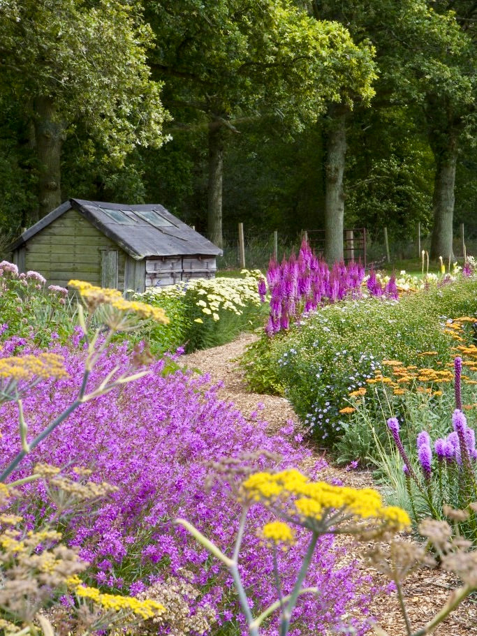 Plant Fairs Roadshow - Sussex Prairies