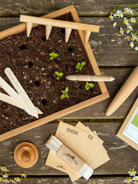 Inside or Out? How to Choose Where to Plant Seeds