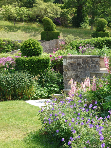 Rare Plant Fair at Fonthill House Gardens - NEW!