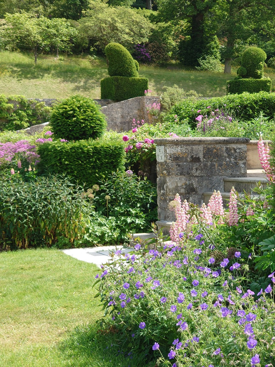 Rare Plant Fair at Fonthill House Gardens - NEW!