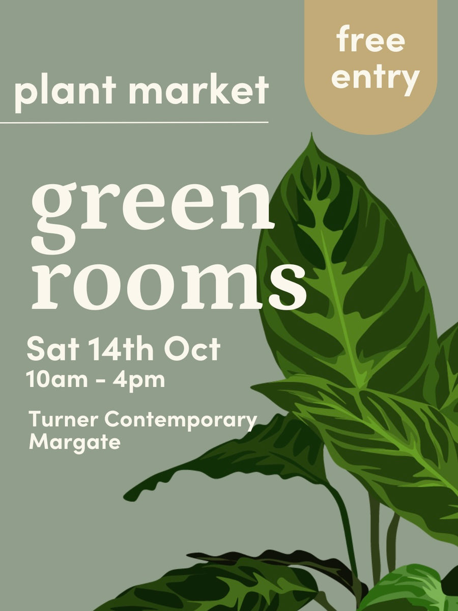 Green Rooms Market, Turner Contemporary, Margate