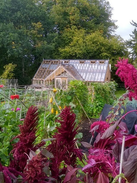 Rare Plant Fair, Salthrop House, Near Swindon