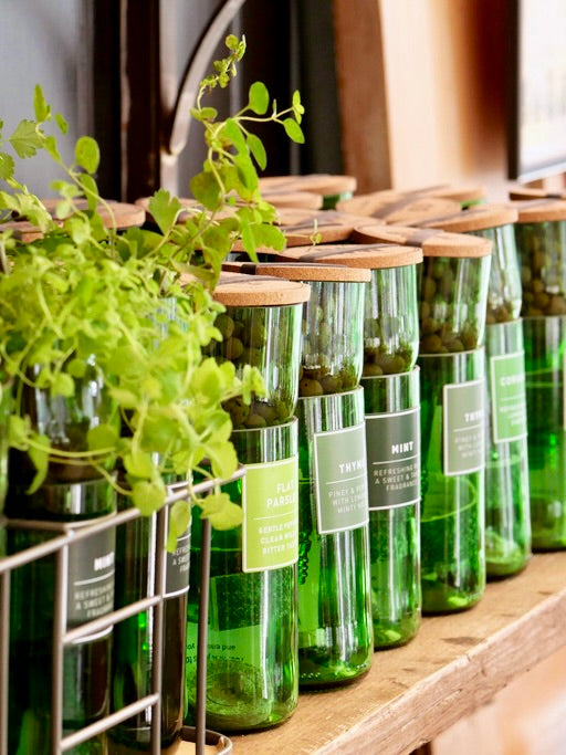 Hydroherb Hydroponic Grow Kit Mint Dan Cooper Garden