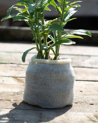 Biodegradable Wool Pots, Pack of 10