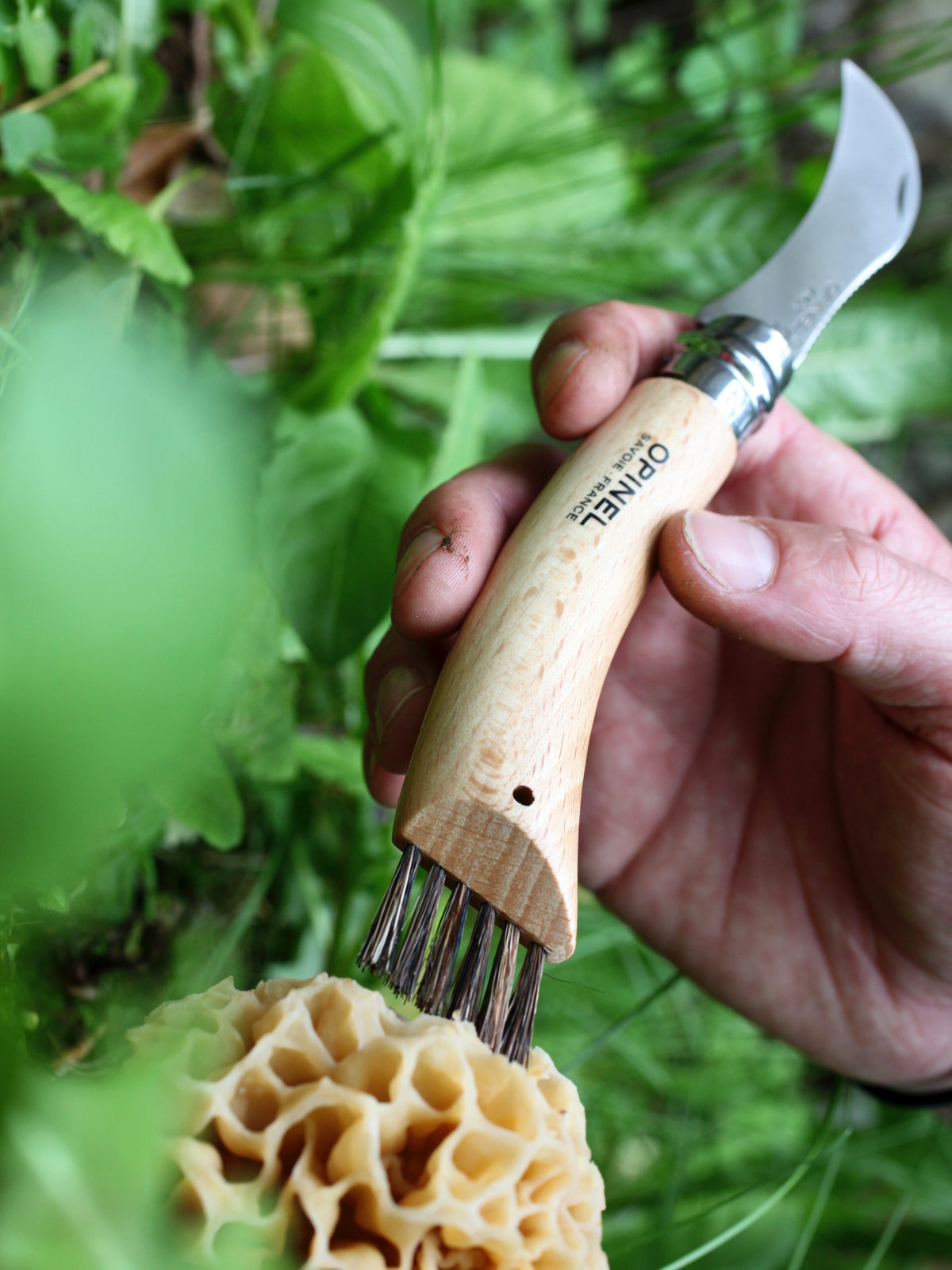 Opinel No.8 Mushroom Knife