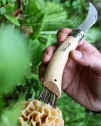 Opinel No.8 Mushroom Knife