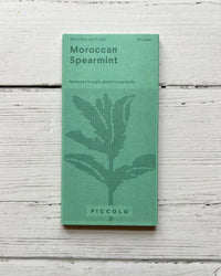 PICCOLO SEEDS - Moroccan Spearmint