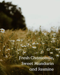 Field Day Jam Jar Candle - Chamomile
