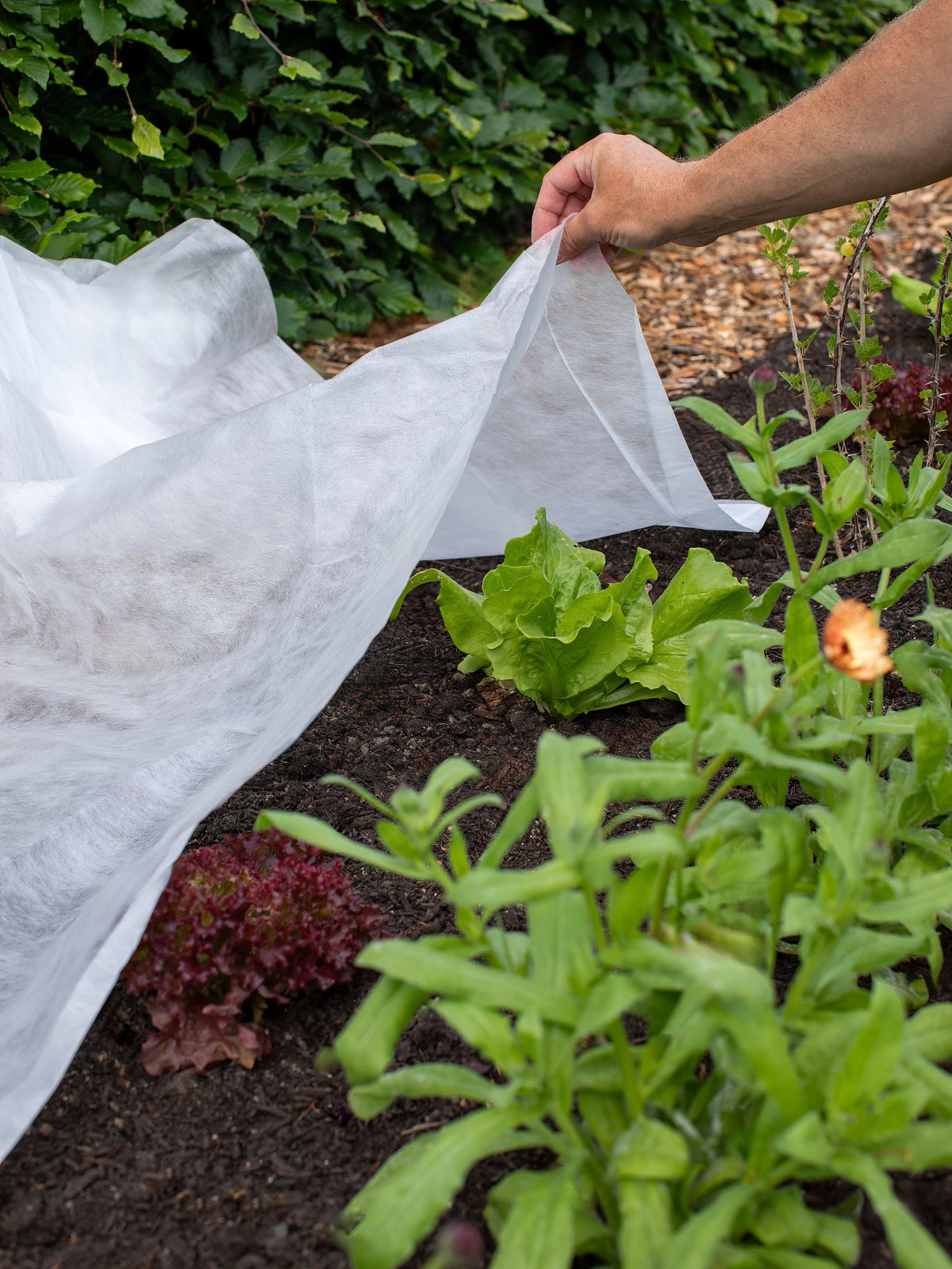 BioFleece 30 Plastic-Free Heavy-Duty Frost Protection Fabric