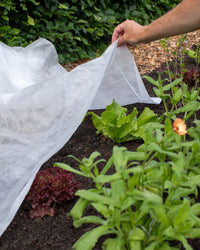 BioFleece 30 Plastic-Free Heavy-Duty Frost Protection Fabric
