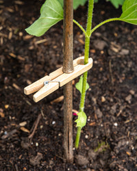 Redecker Cane Clamps, Set of 5