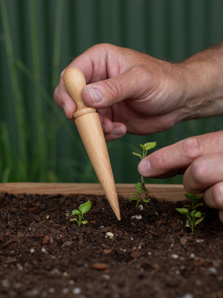 Creamore Mill Mini Seed Dibber