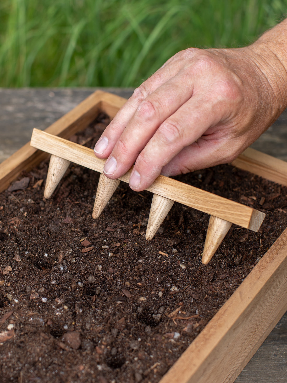 Creamore Mill Oak Seed Tray Dibber