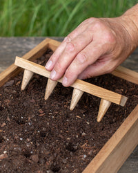Creamore Mill Oak Seed Tray Dibber