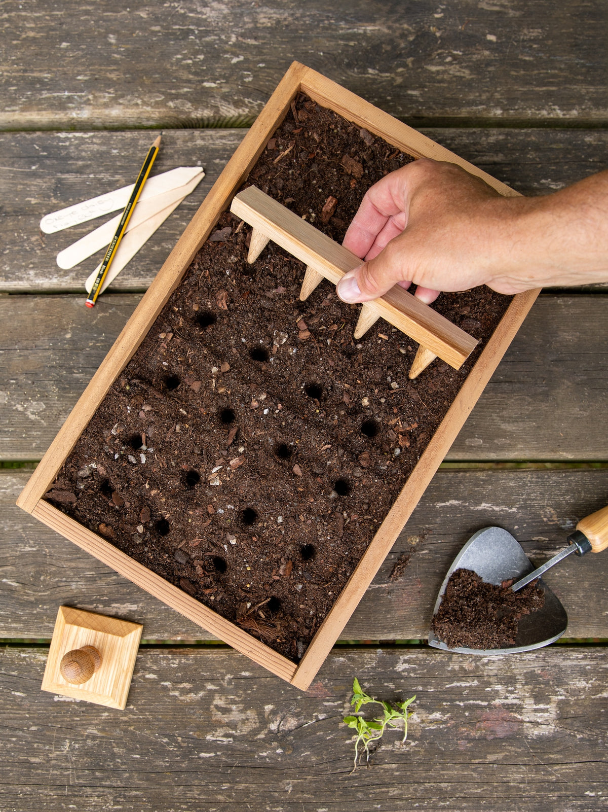 Creamore Mill Oak Seed Tray Dibber