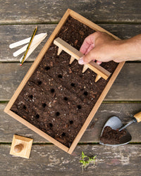 Creamore Mill Oak Seed Tray Dibber