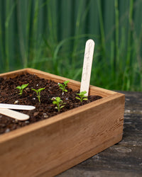 Creamore Mill Wooden Seed Labels