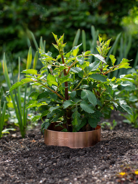 Slug and Snail Repellent Copper Ring, Large
