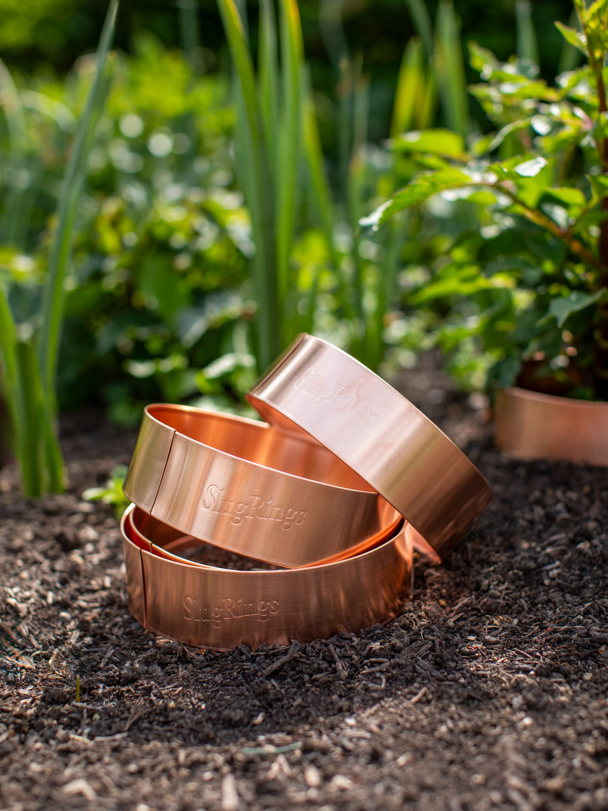 Slug and Snail Repellent Copper Ring, Large
