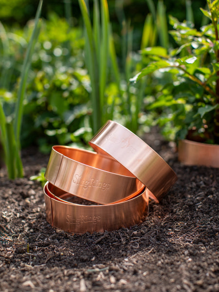 Slug and Snail Repellent Copper Ring, Large