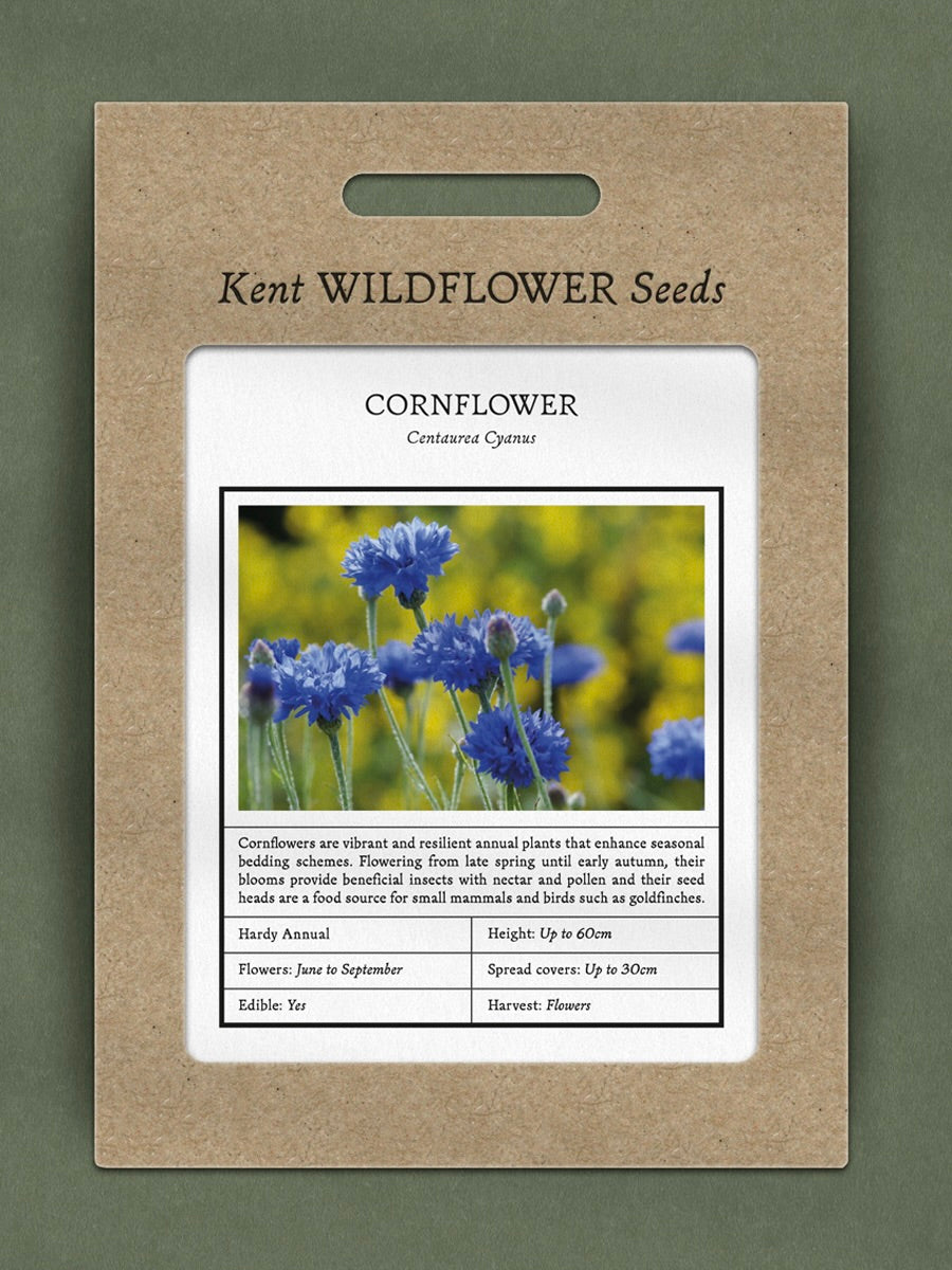 Kent Wildflower Seeds - Cornflower (Centaurea cyanus)