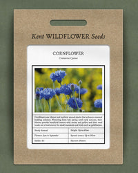 Kent Wildflower Seeds - Cornflower (Centaurea cyanus)