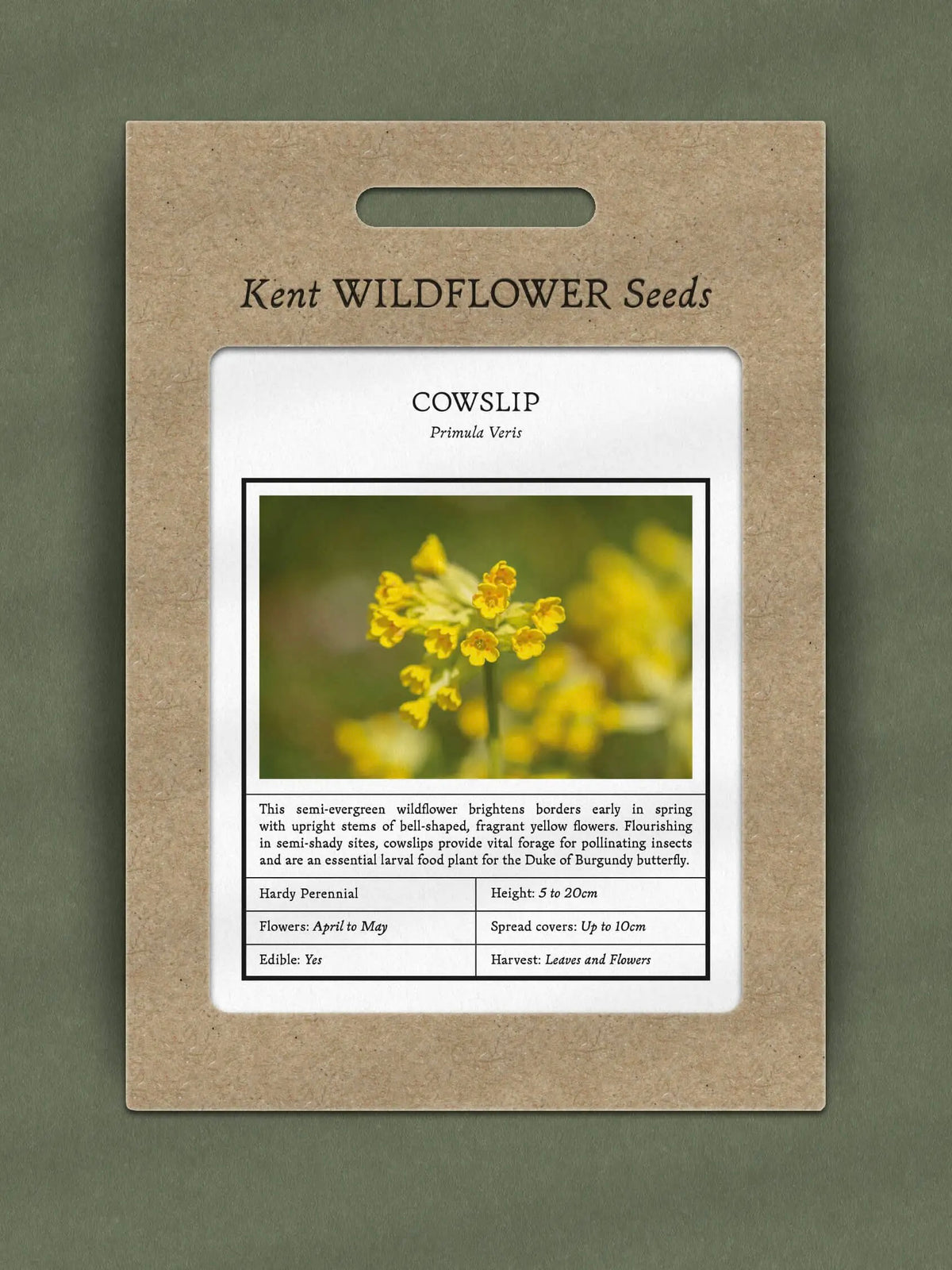 Kent Wildflower Seeds - Cowslip (Primula veris)