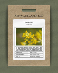 Kent Wildflower Seeds - Cowslip (Primula veris)