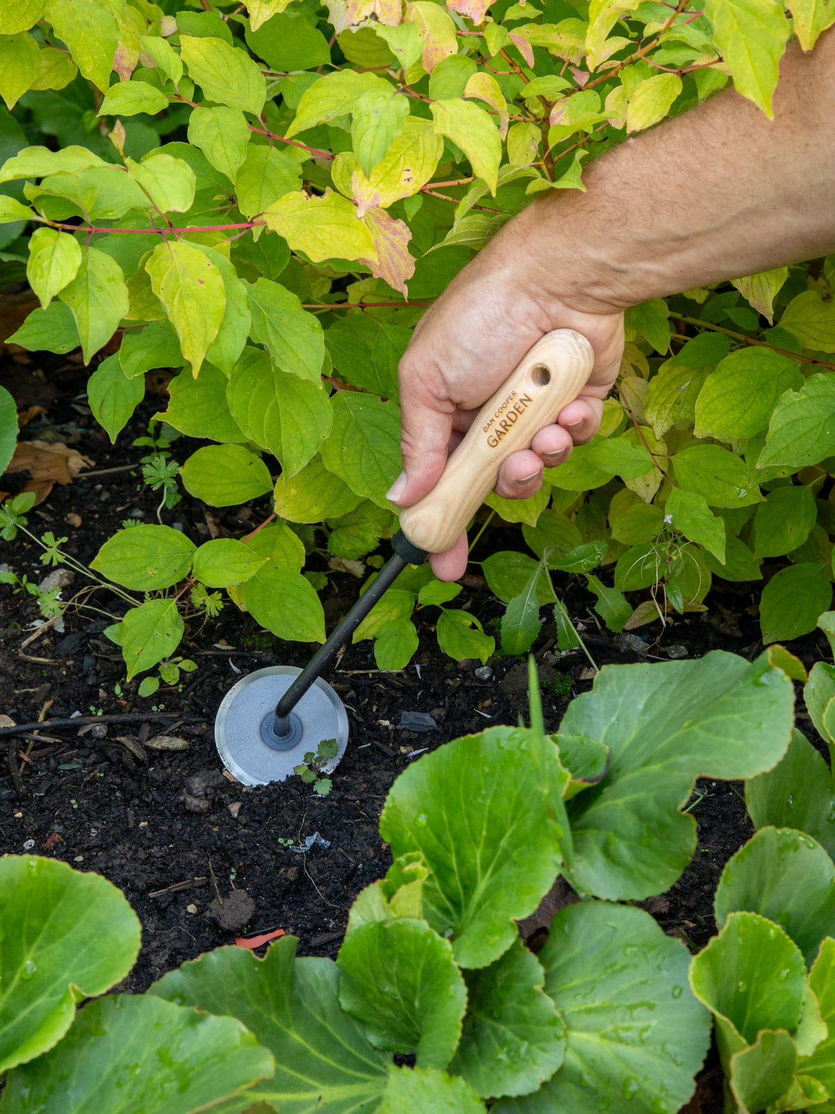 Signature Disc Weeder