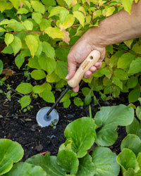Signature Disc Weeder