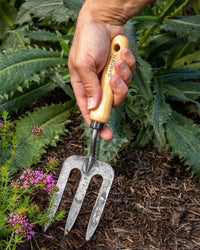 Hand holding a garden fork with a wooden handle among plants