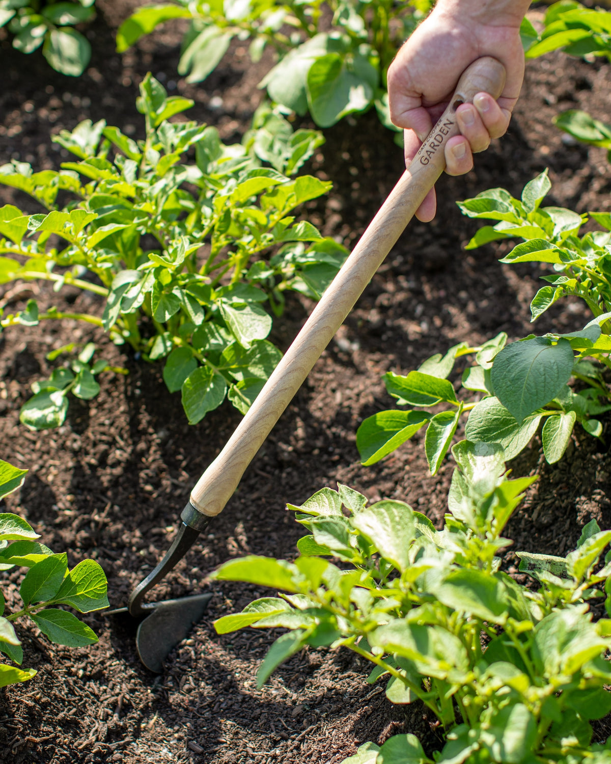 Dan Cooper Garden Signature Mid-Length Plough Hoe