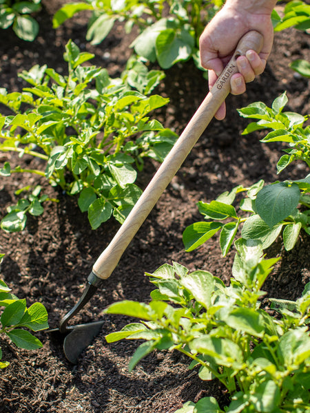 Dan Cooper Garden Signature Mid-Length Plough Hoe