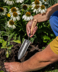 Signature Slim Transplanting Trowel