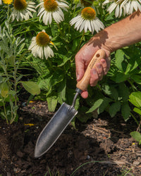 Signature Slim Transplanting Trowel