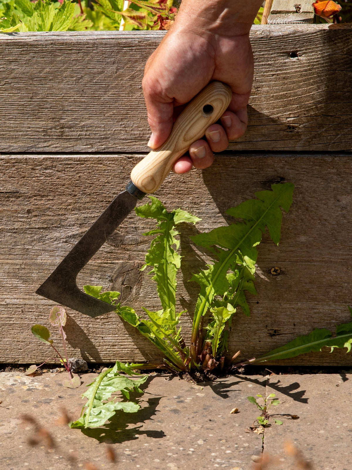 Signature Crack and Crevice Weeder