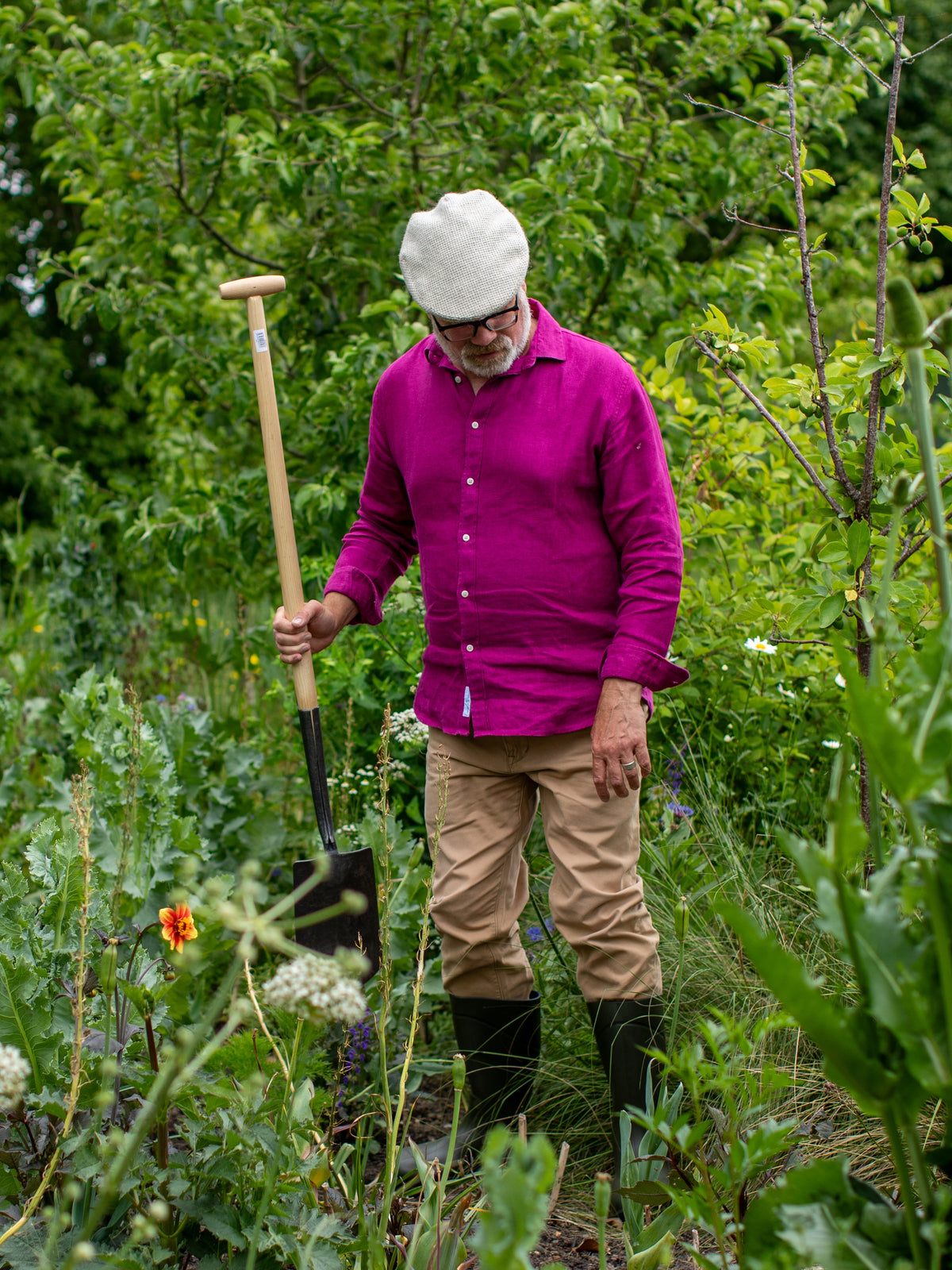 Man in a garden wearing a magenta shirt and a flat cap, holding a gardening tool.
