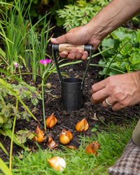 Signature Bulb Planter