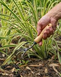 Signature Claw Cultivator
