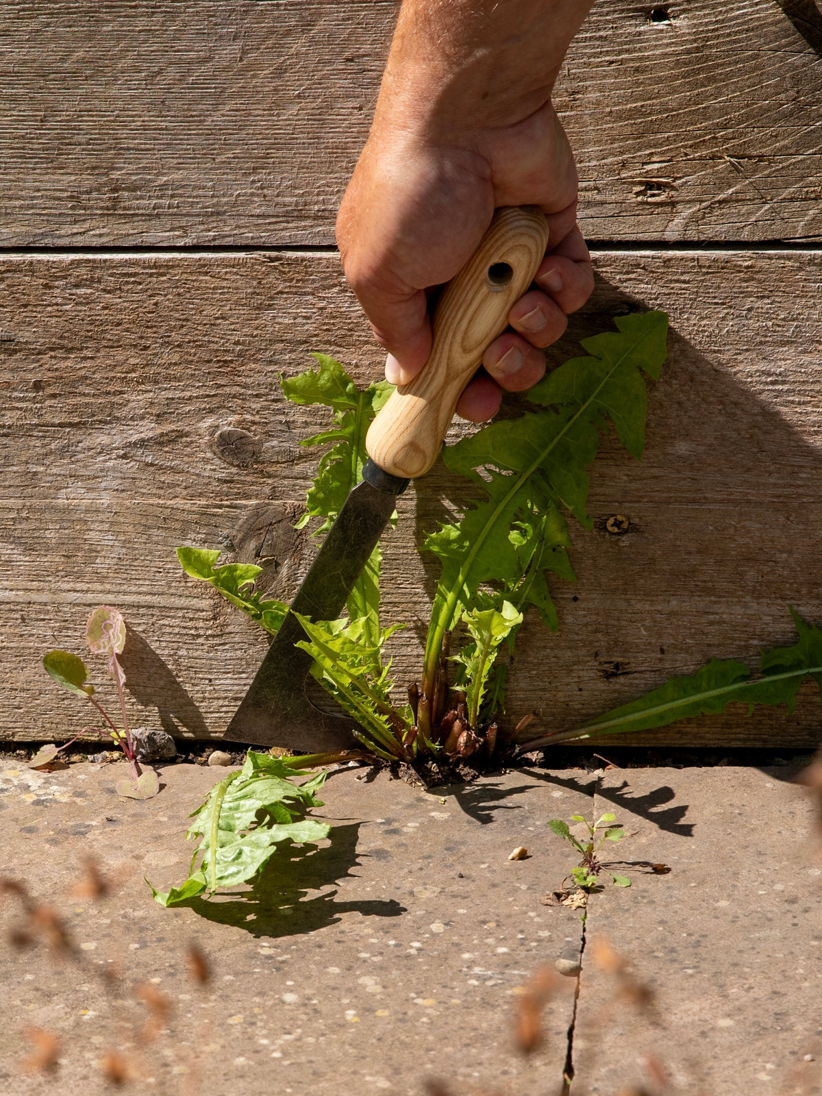Signature Crack and Crevice Weeder