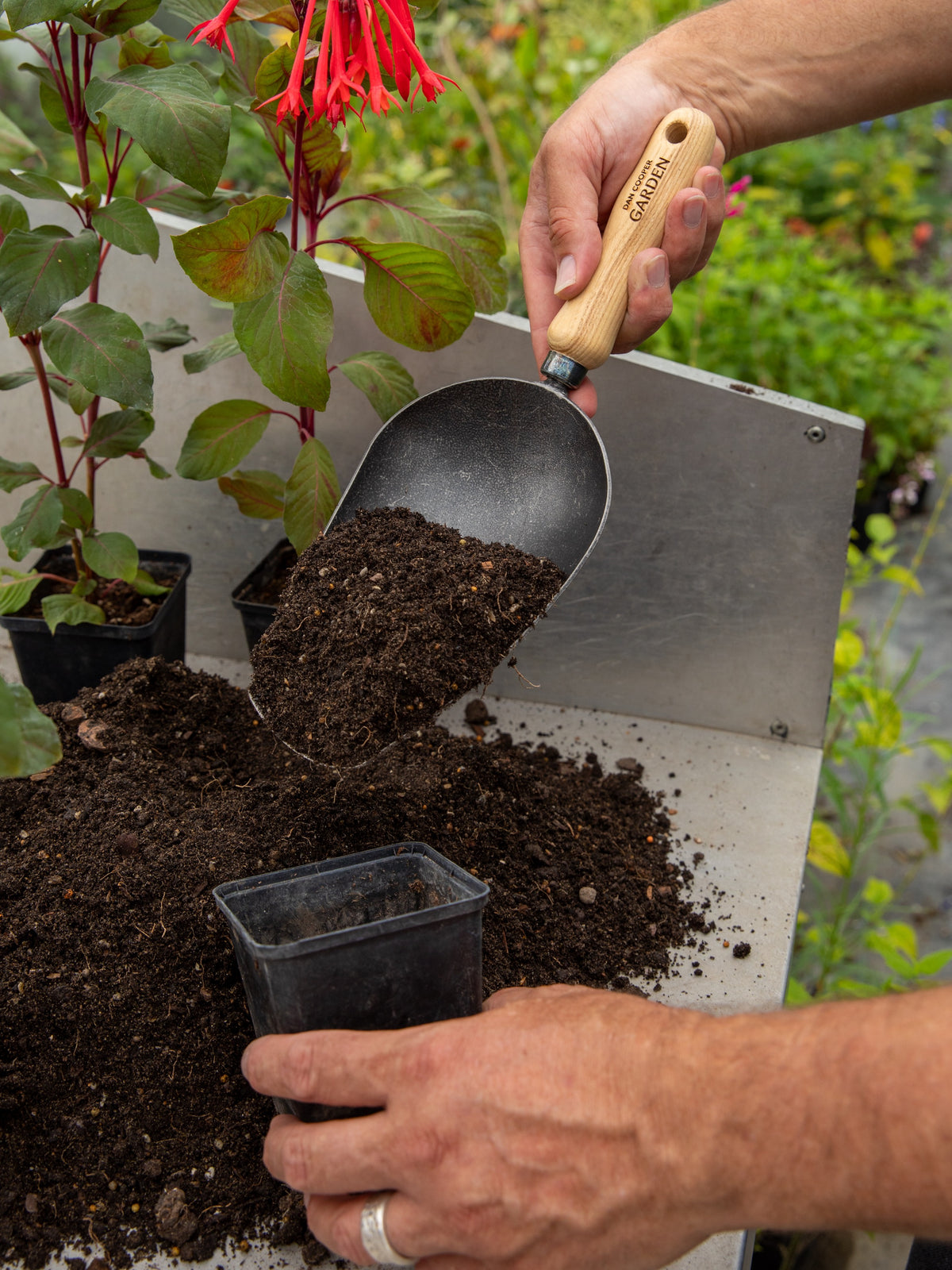 Signature Garden Scoop