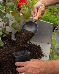 Signature Garden Scoop