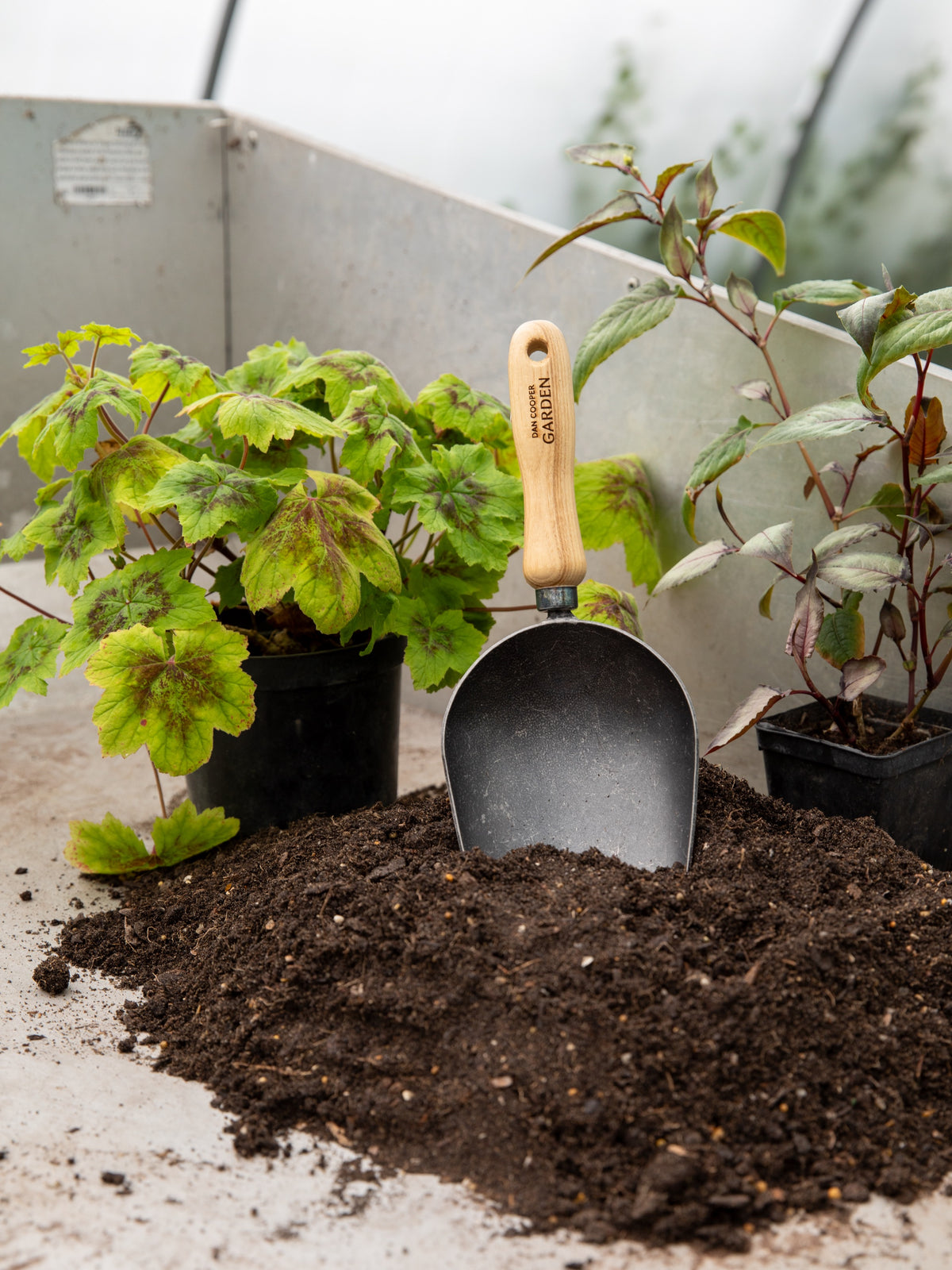 Signature Garden Scoop
