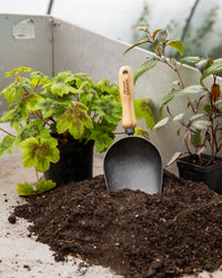 Signature Garden Scoop