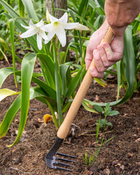 Signature Mid-Length 4 Tine Weeder & Cultivator