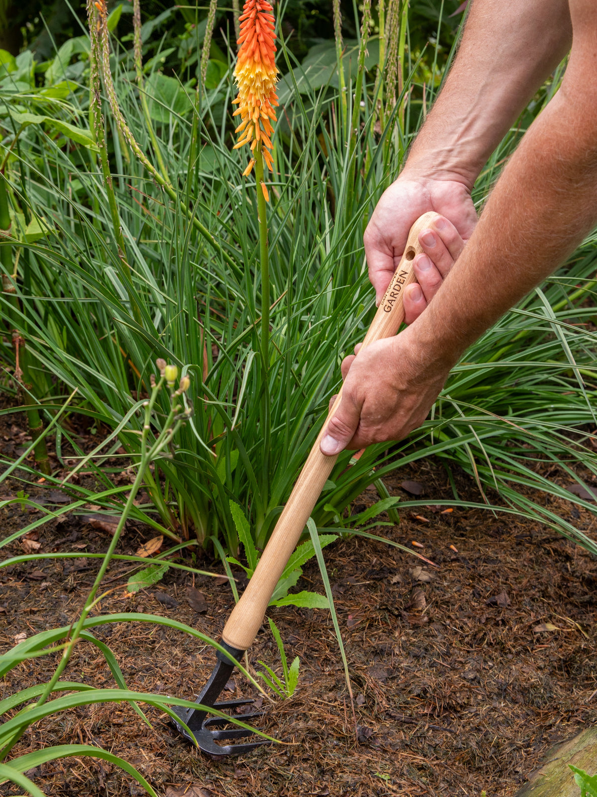 Signature Mid-Length 4 Tine Weeder & Cultivator